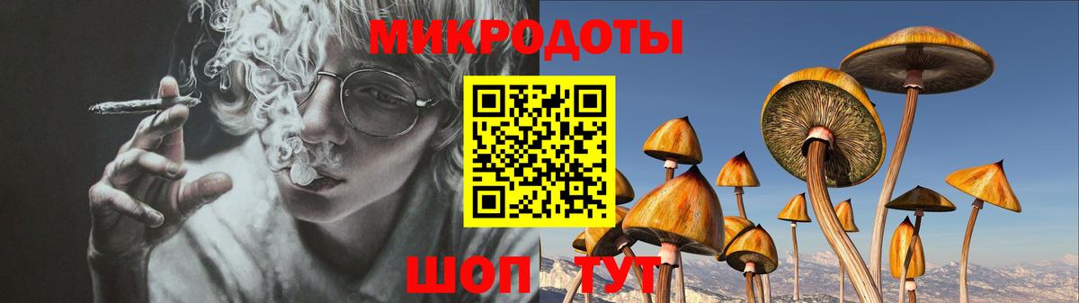 Псилоцибиновые грибы Psilocybe  Вход с VPN  Чапаевск  купить наркотик  Галлюциногенные грибы Cubensis 